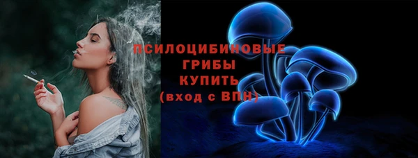 мяу мяу мука Инта