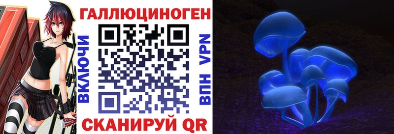 Купить закладки  Перевоз  Псилоцибиновые грибы Magic Shrooms 